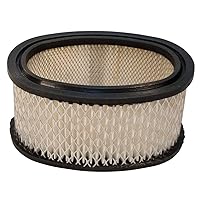 Stens Air Filter 100-198 for Briggs & Stratton 393725