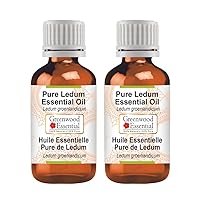 Pure Ledum Essential Oil (Ledum groenlandicum) Steam Distilled (Pack of Two) 100ml X 2 (6.76 oz)