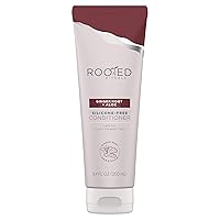 Ginger Root and Aloe - Conditioner, 8.4 fl oz