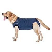 COODEO Dog Surgery Recovery Suit, Waterproof Recovery Suit for Dogs, Surgery Suit for Wounds Protect, Cone Alternative After Surgery, Dog Onesie for Surgery Female or Male (Blue, 2XL)