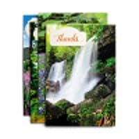 Thank You - King James Version - 4 Assorted Nature Landscape Designs with Scripture - 12 Boxed Cards & Envelopes