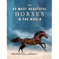 The 40 Most Beautiful Horses in the World: A full color picture book for Seniors with Alzheimer's or Dementia (The 