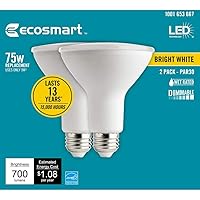 EcoSmart 75-Watt Equivalent PAR30 Dimmable Energy Star Flood LED Light Bulb Bright White (2-Pack)