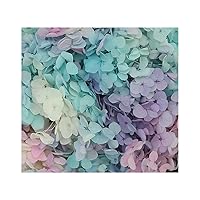 T Blue Purple Pink Gradient Dried Flower Little Leaves Preserved Decor for Craft DIY Flowers Material Accessorie, Pressed Flowers for Candles Crafts,Wedding DIY Craft Supplies Card