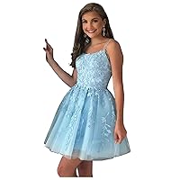 Sky Blue Short Homecoming Dresses Appliques 2023 A-Line Tulle Prom Party Dress for Juniors 14