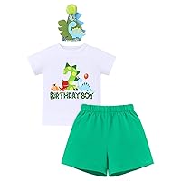 IBTOM CASTLE Baby Boys 1st 2nd 3rd Birthday Outfit Dinosaur Theme T-shirt Shorts Birthday Hat Cake Smash Photoshoot 3pcs Set