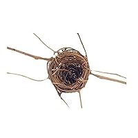CWI Gifts 6-Piece Twig Bird Nest with Forked Stem Set, 4-Inch