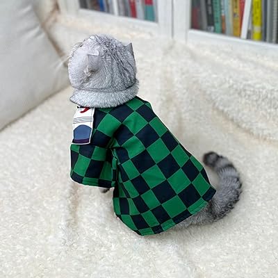 Premium Vector | Kawaii cute anime chibi girl in cat costume