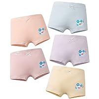 Toddler Underwear Girls Panties Carp Play Water Painting Cotton Breathable Soft Boxer Briefs (10 Pack)