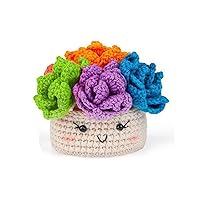 Crochet Kits Crochet Yarn Set Potted Plant Crochet Kits DIY Beginners Crochet Kits With English Video Beginners Crochet Kits Diy Crochet Set Potted Plant Crochet Kits For Kid