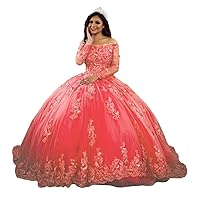 Women's Lace Appliques Quinceanera Dress Long Sleeves Ball Gown