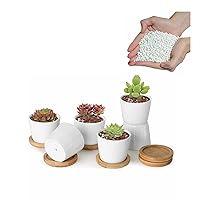 T4U Succulent Pots with Bamboo Tray and White Gravels 1 lb