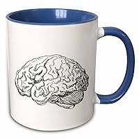 3dRose Brain Two Tone Blue Mug, 1 Count (Pack of 1), Multicolor