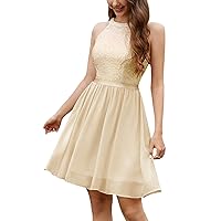 Dressystar Women's Short Halter Cocktail Party Dress Lace Tulle Prom Gown