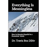 Everything Is Meaningless: Remaining Hopeful in a Pessimistic World Everything Is Meaningless: Remaining Hopeful in a Pessimistic World Paperback Kindle