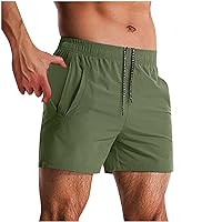 Man Shorts Beach Shorts for Man Hawaiian Ruched Tropical Straight Leg Summer Fall Shorts 2024 Trendy Y2K
