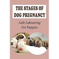 The Stages Of Dog Pregnancy: Safe Labouring For Puppies