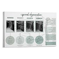 WENHUIMM Levels of Spinal Degeneration Chiropractors Spine Knowledge Guide Poster (6) Home Living Room Bedroom Decoration Gift Printing Art Poster Frame-style 18x12inch(45x30cm)