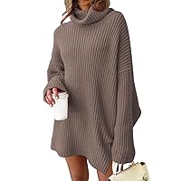 EFAN Womens Oversized Turtleneck Sweater Dress 2023 Trendy Pullover Ribbed Knit Dress