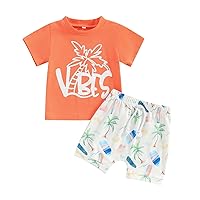 DuAnyozu Infant Toddler Baby Boy Summer Clothes No One Likes A Shady Beach Tank Top and Beach Shorts Summer Outfit Sets