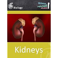 Kidneys - School Movie on Biology