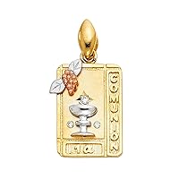 14K Tri Color Gold Religious Communion Pendant - Crucifix Charm Polish Finish - Handmade Spiritual Symbol - Gold Stamped Fine Jewelry - Great Gift for Men Women Girls Boy for Occasions, 20 x 14 mm, 3.2 gms