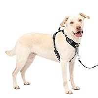PetSafe Easy Walk Comfort No-Pull Dog Harness Full-Body Padding - Better Walks on The First Use - 5 Points of Adjustment Large, Black