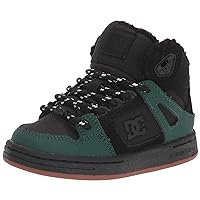 DC Unisex-Child Pure High-top Wnt Ev Skate Shoe