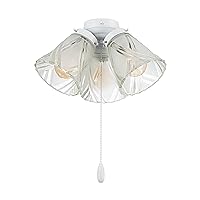 Aspen Creative 22013-3, Three-Light Ceiling Fan Light Kit with Pull Chain, Matte White Finish with Frosted and Clear Glass Shade, 14
