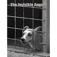 The Invisible Angels