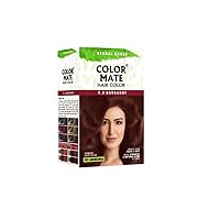 Herbal Based Ammonia Free Hair Color with Ayur Product in Combo (9.3-Burgundy)