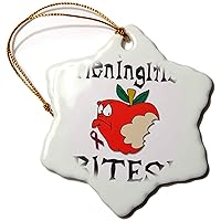 3dRose Funny Awareness Support Cause Meningitis Mean Apple - Ornaments (orn-120569-1)