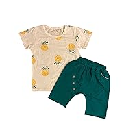 Toddler Boys Green Pineapple Short Set (as1, Age, 3_Years, 3T)