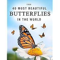 The 40 Most Beautiful Butterflies in the World: A full color picture book for Seniors with Alzheimer's or Dementia (The 