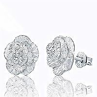 Premium Quality Elegant Cherry Earrings Simple Temperament Earrings Accessories Gifts for Women (A)