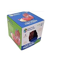 Cross-Section Human Heart Model, Large Foam Classroom Demonstration Model, 2Piece, Grades 2+, Ages 7+ Multi-color, 5 x 5 x 5 inches