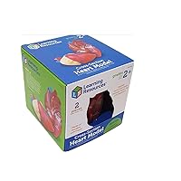 Learning Resources Cross-Section Human Heart Model, Large Foam Classroom Demonstration Model, 2Piece, Grades 2+, Ages 7+ Multi-color, 5 x 5 x 5 inches