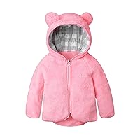 Toddler Girls Boys Autumn Winter Long Sleeve Thick Solid Color Plush Zipper Hooded Coat For 0 To 3 Years Girl