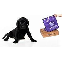 Pet Waste and Dog Poop Bags, 250 Count, Made with Recycled Material, Durable, Purple, Fits in Standard Park Dispensers