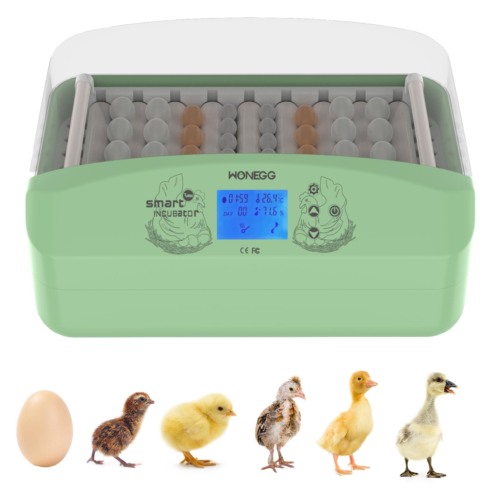 Mua Eggs Incubators, 32-60 Egg Incubator with Automatic Egg Turning and ...