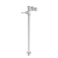 American Standard 6047117.002 Flush VALVES Manual Clinic Sink FV, 24