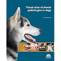 Visual atlas of dental pathologies in dogs