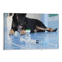 Dog Rabies Vaccine Posters Pet Hospital Poster Canvas Painting Posters And Prints Wall Art Pictures for Living Room Bedroom Decor 08x12inch(20x30cm) Frame-style