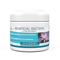 Dry Beneficial Bacteria for Pond and Water Features, 4.4-Ounce | 98925,White