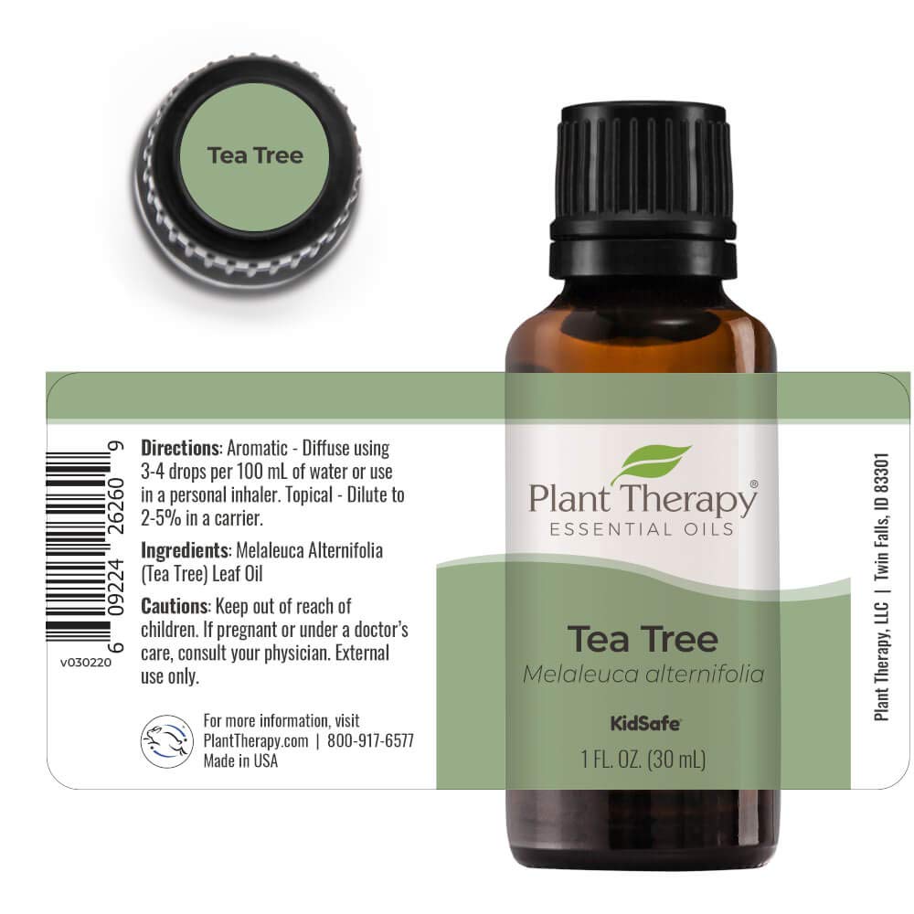 Plant Therapy Tea Tree Essential Oil 100% Pure, Undiluted, Natural Aromatherapy, Therapeutic Grade 30 mL (1 oz)