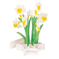 Greeting Life Blooming Card Daffodil KE-38