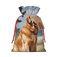 WSOIHFEC Golden Retriever Christmas Gift Bags with Drawstring Burlap Christmas Treat Bags Reusable Christmas Candy Bag Gift Wrapping Bag Party Favors Bags