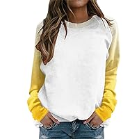 Lightweight Zip up Hoodie Gradient Solid Print Sweatshirts Top Long Sleeve Color Block Pullover Cute Cute Baggy