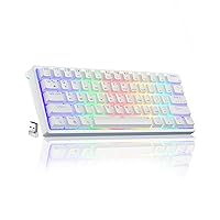 SK961 Wireless 60 Percent Keyboard with Tri-Mode Bluetooth/Wired/2.4GHz Wireless Gaming Keyboard,RGB Hot-Swappable Wireless Mechanical Keyboard,White Red Switch