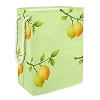 Laundry Hamper Vitamin C Lemon Collapsible Laundry Baskets Firm Washing Bin Clothes Storage Organization for Bathroom Bedroom Dorm